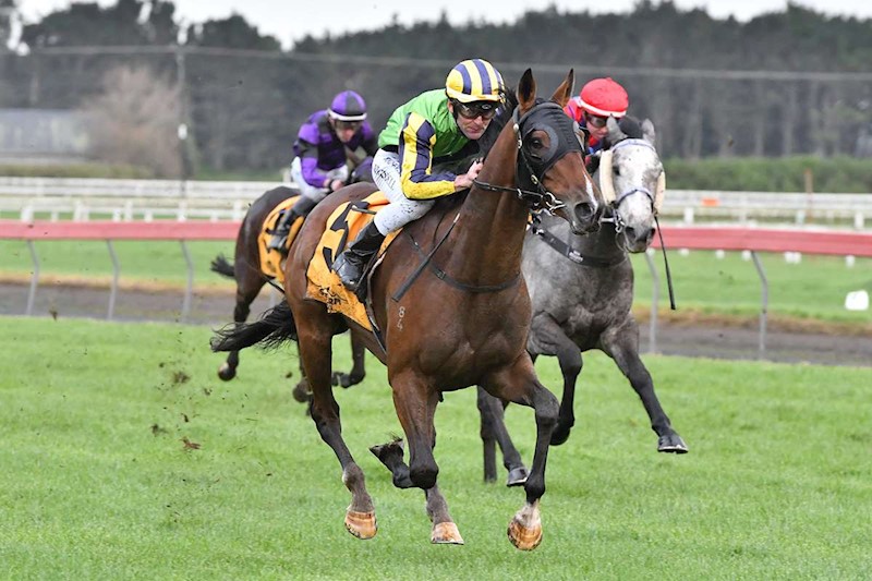 lot-7-major-domo-tavistock-lady-in-waiting-gavelhouse